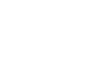 zuum